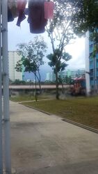 Blk 842 Woodlands Street 82 (Woodlands), HDB 4 Rooms #576084121